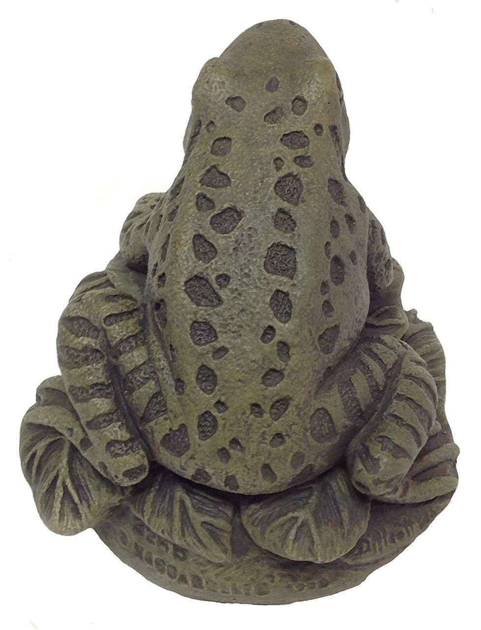 Frog On Leaves Back View