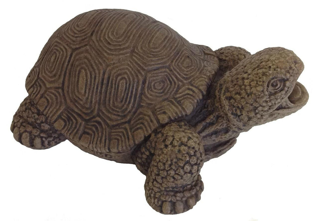 Massarellis 2330 Turtle Plumbed Spitter