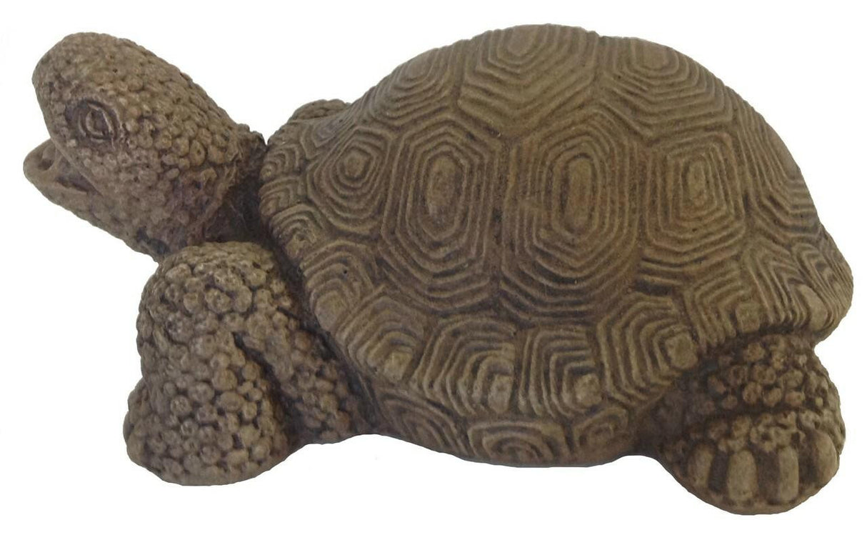 Massarellis 2330 Turtle Plumbed Spitter