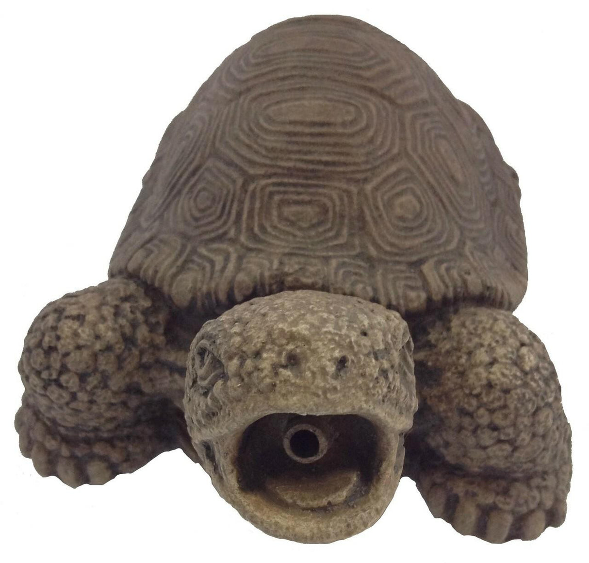 Turtle Spitter | Front View