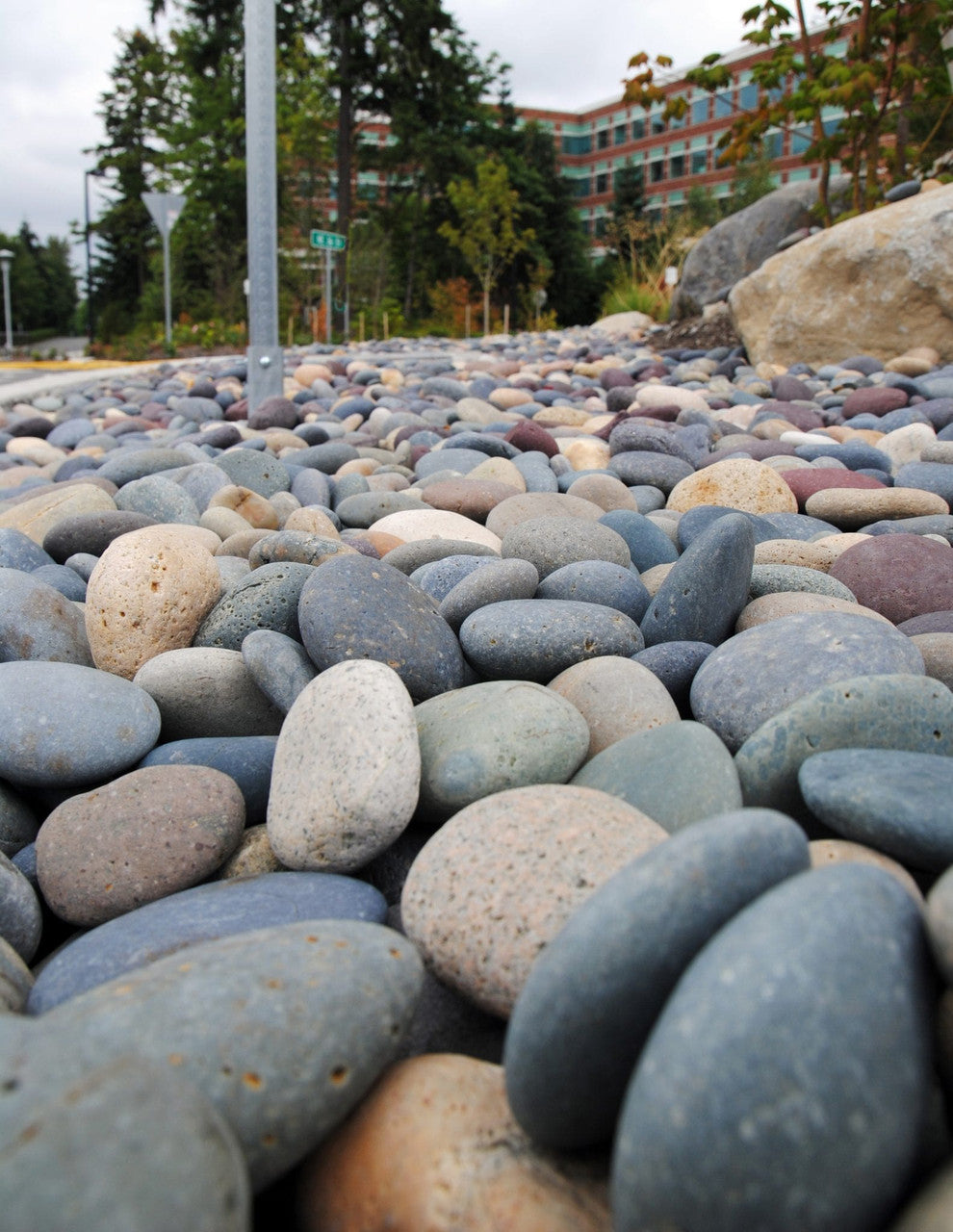 Mixed Unpolished Mexican Beach Pebbles (By the Pallet)
