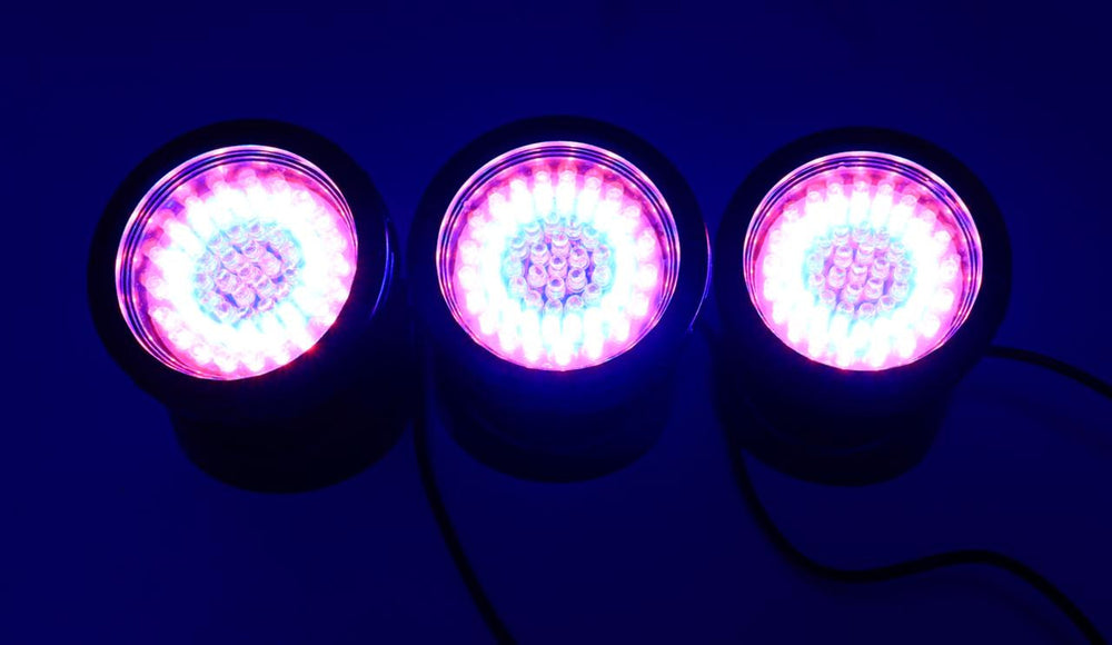 Ocean Mist Magic Pond 60 LED Color Changing Spotlight - 3-Pack