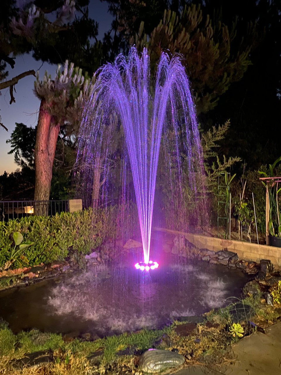 Custom Pro PJ Series Floating Fountain