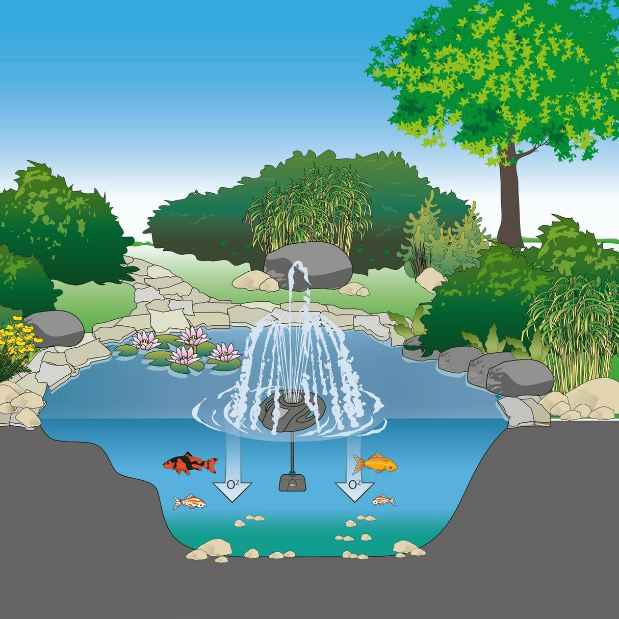 Floating Summer Pond Fountain - cross section diagram