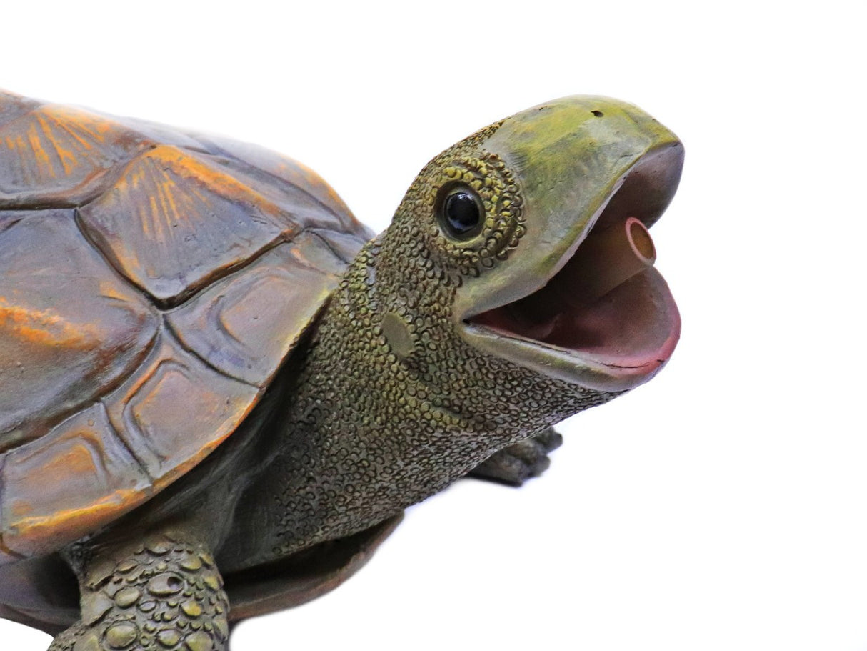 Timmy the Turtle Statuary Spitter