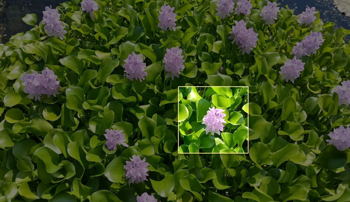 Jacinthe D'eau Artificielle Flottante PONTEC PondoHyacinth - Décoration D'étang Verte - Résiste Aux Intempéries - 14x14x8 Cm - 12