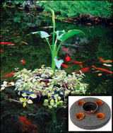 Sundial Floating Planter | Calla Lily and Trailing Bacopa