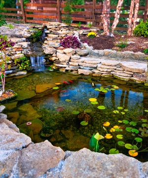 Pond Supplies, Kits, Water Features & Fountains | Pond & Garden Depot Pond and Garden Depot Pond Supplies, Kits, Water Features & Fountains | Pond & Garden Depot Pond and Garden Depot
