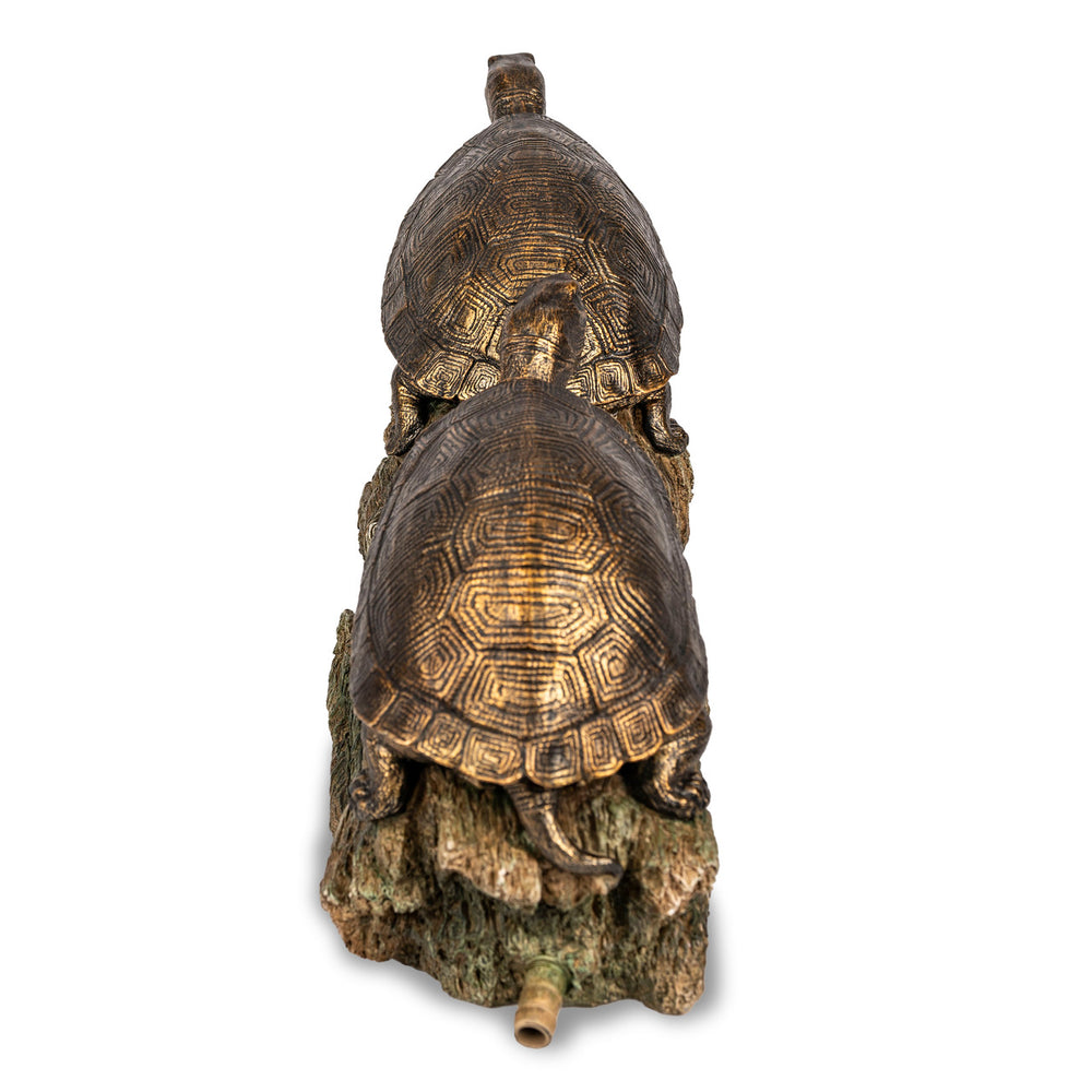 Back View of Turtles