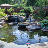 Aquascape Clean Pond Water Treatment for Dosing System SL