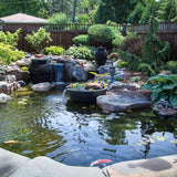 Aquascape Automatic Dosing System for Ponds G2 (96085)