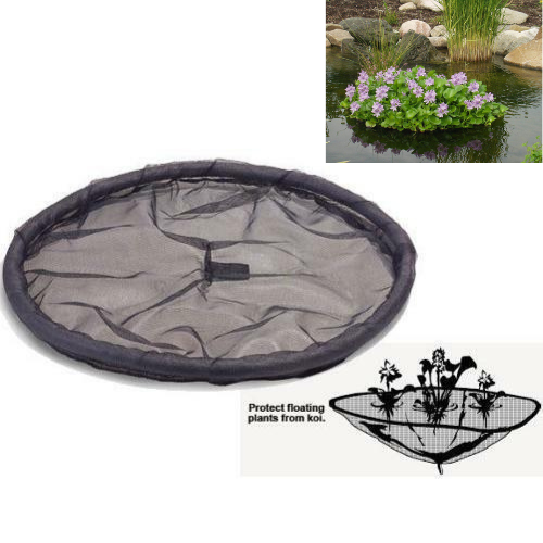 floating indoor water plants Floating Flora Island | Water Hyacinth Plant Protector