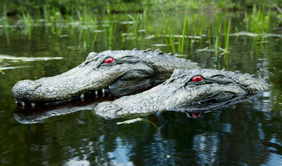 Floating Alligator Head Decoy w/ Reflective Eyes