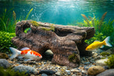 EasyPro - Log Fish Cave - LFC