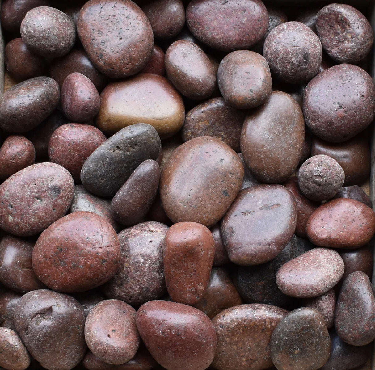 Polished Red Imported Beach Pebbles (Sample)