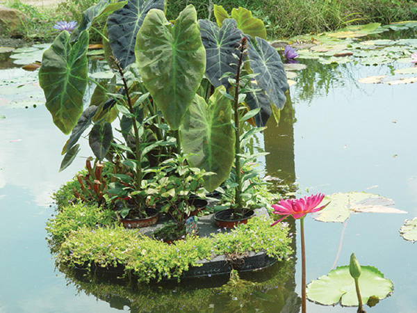 Green Vista Floating Wetland Island Raft for Pond Plants - Thumbnail 4