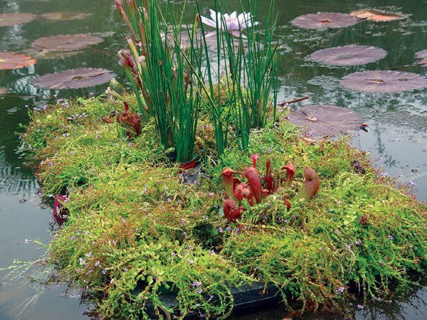 plastic floating pond plants Floating Wetland Island Raft for Pond Plants | 2 Sizes