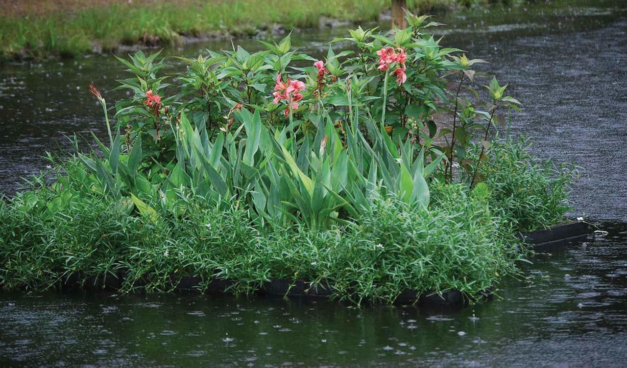 Green Vista Floating Wetland Island Raft for Pond Plants - Thumbnail 5