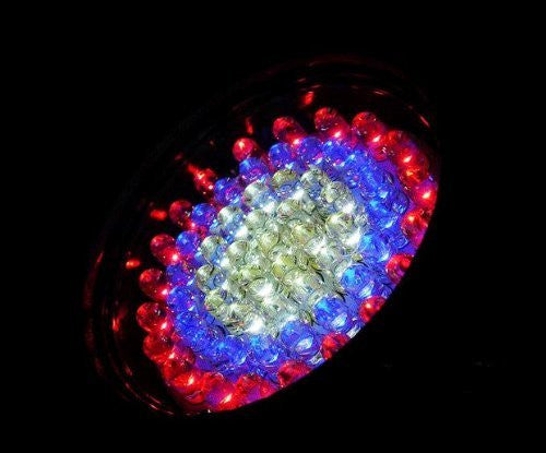 Magic Pond 60 LED Color Changing